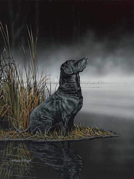 Daybreak Scout Black Labrador Retriever Wall Art Print - Premium Paper Poster for Home, Office & Dog Lover Decor