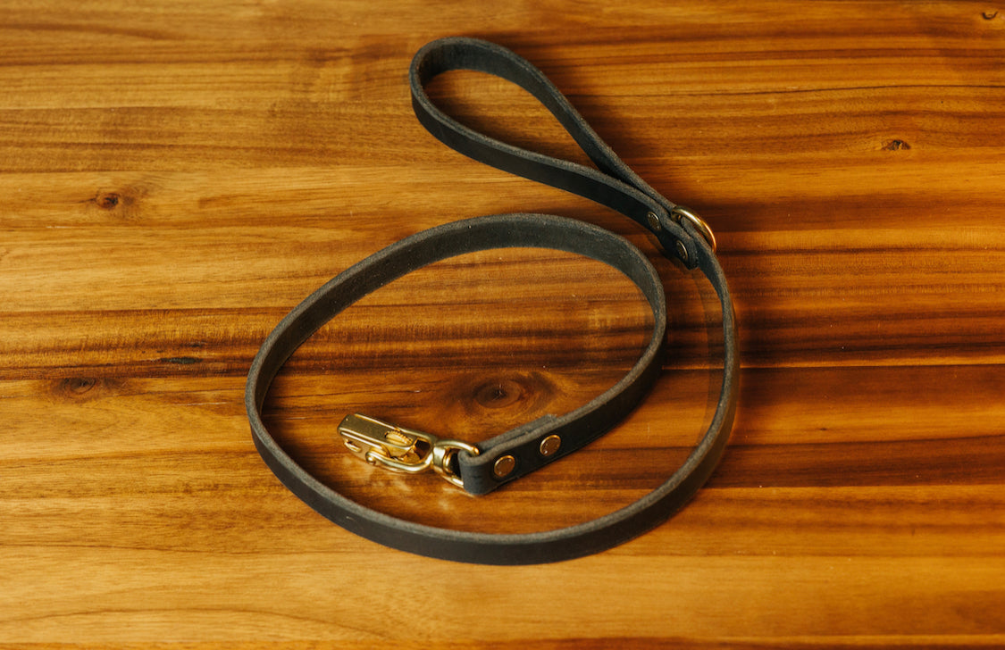 Durable The Jake Dog Leash in Black - Strong Nylon Pet Leash for Medium & Large Dogs - Perfect for Walking, Running & Outdoor Adventures