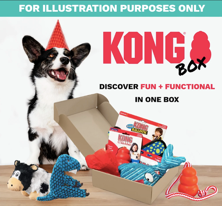 Kong Puppy Love Box - Durable Dog Chew Toys for Puppies, Interactive Treat Dispenser for Small & Medium Dogs - Perfect for Teething, Training & Playtime at Home or Outdoors