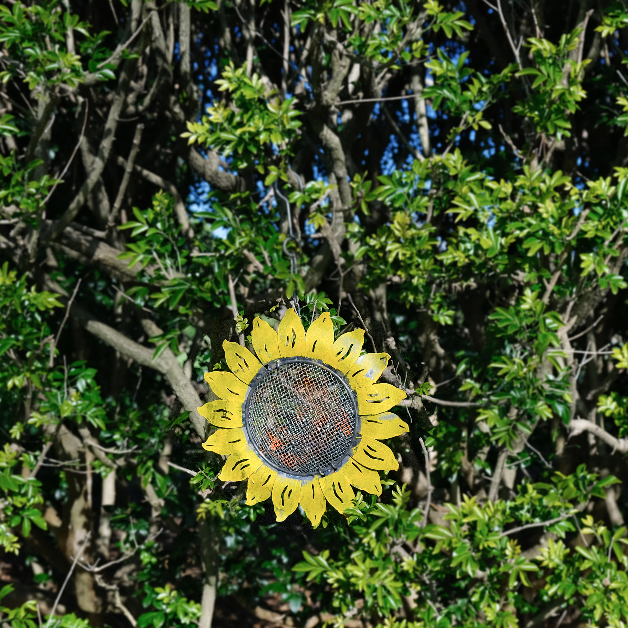 W3532C Hanging Bird Feeder - Sunflower Design in Natural Rusted & Yellow Colors - Perfect for Garden, Patio & Backyard Bird Watching