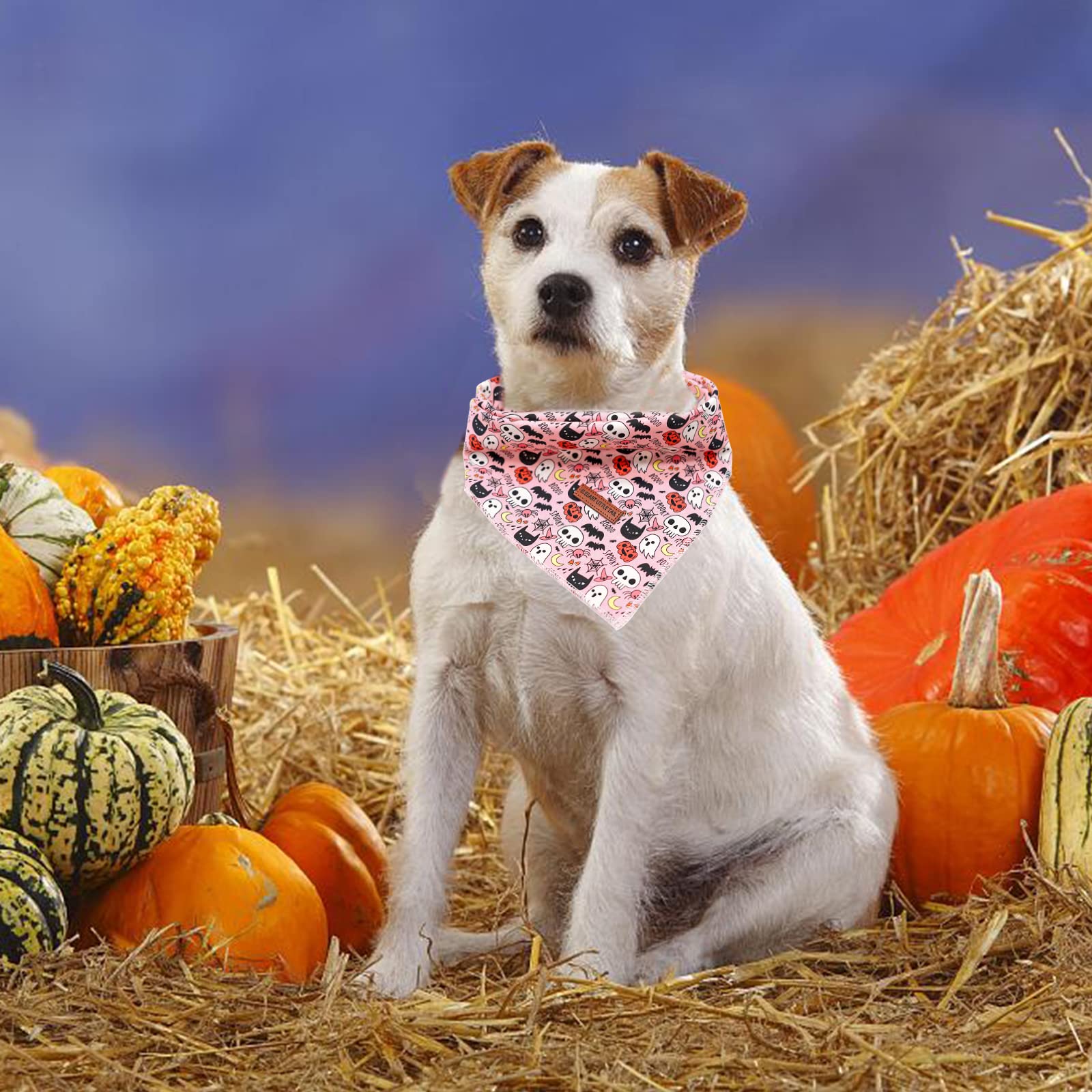 Halloween Pumpkin Dog Bandana for Small Medium Large Dogs - Adjustable Washable Square Dog Scarf for Boys & Girls - Perfect for Costume Parties, Trick or Treating & Seasonal Photos