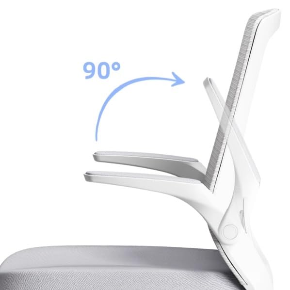 Ergonomic Office Chair with Adjustable Armrests & Lumbar Support - High Back Executive Desk Chair for Home & Office Workspace - Comfortable Mesh Computer Chair (Gray) - Perfect for Long Hours Sitting, Gaming & Remote Work