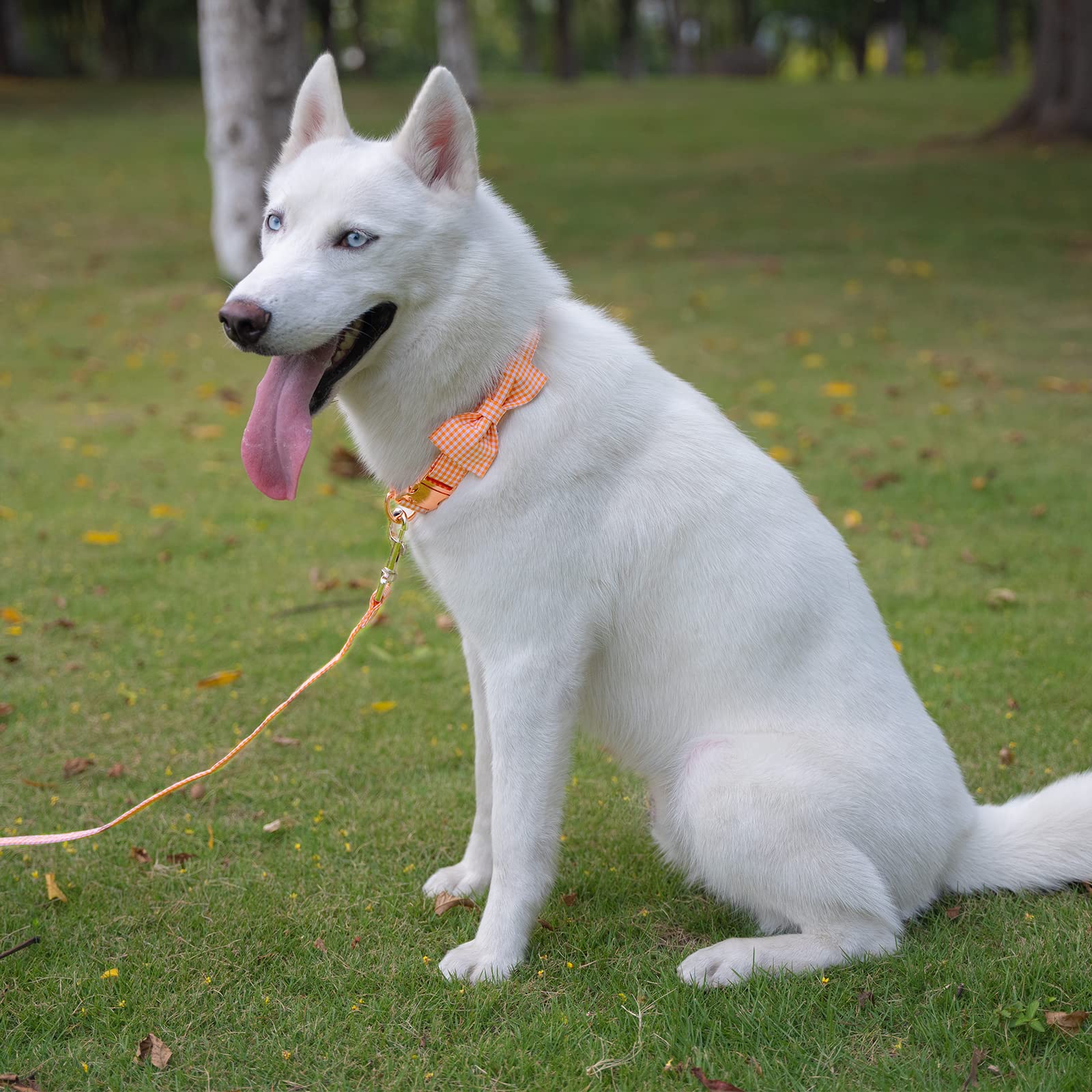Elegant Plaid Dog Collar with Bow Tie - Soft Comfy Cotton Adjustable Pet Collar for Small Medium Large Dogs & Cats - Premium Metal Buckle for Outdoor Training, Walking & Running (Orange Grid, Small) - Perfect for Daily Walks, Pet Parties & Photo Shoots