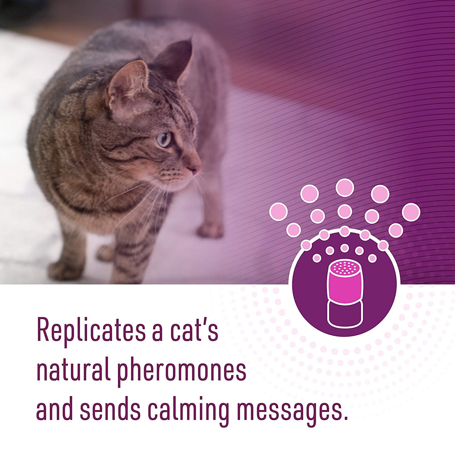 Comfort Zone Basic Calming Diffuser Kit for Cats - Reduce Anxiety & Stress Relief for Indoor Cats - Perfect for Vet Visits, Travel & Multi-Cat Homes