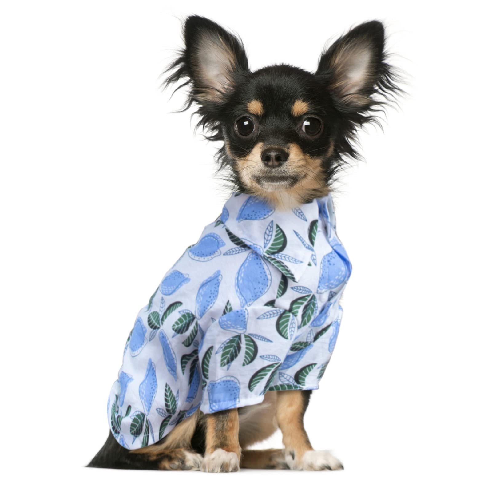 Hawaiian Shirts for Teacup Dogs & Small Pets - Summer T-Shirts for Puppies & Cats | Cute Printed Chihuahua Clothes & Pet Apparel for Dog Boys - Perfect for Beach Outings, Summer Parties & Pet Photoshoots