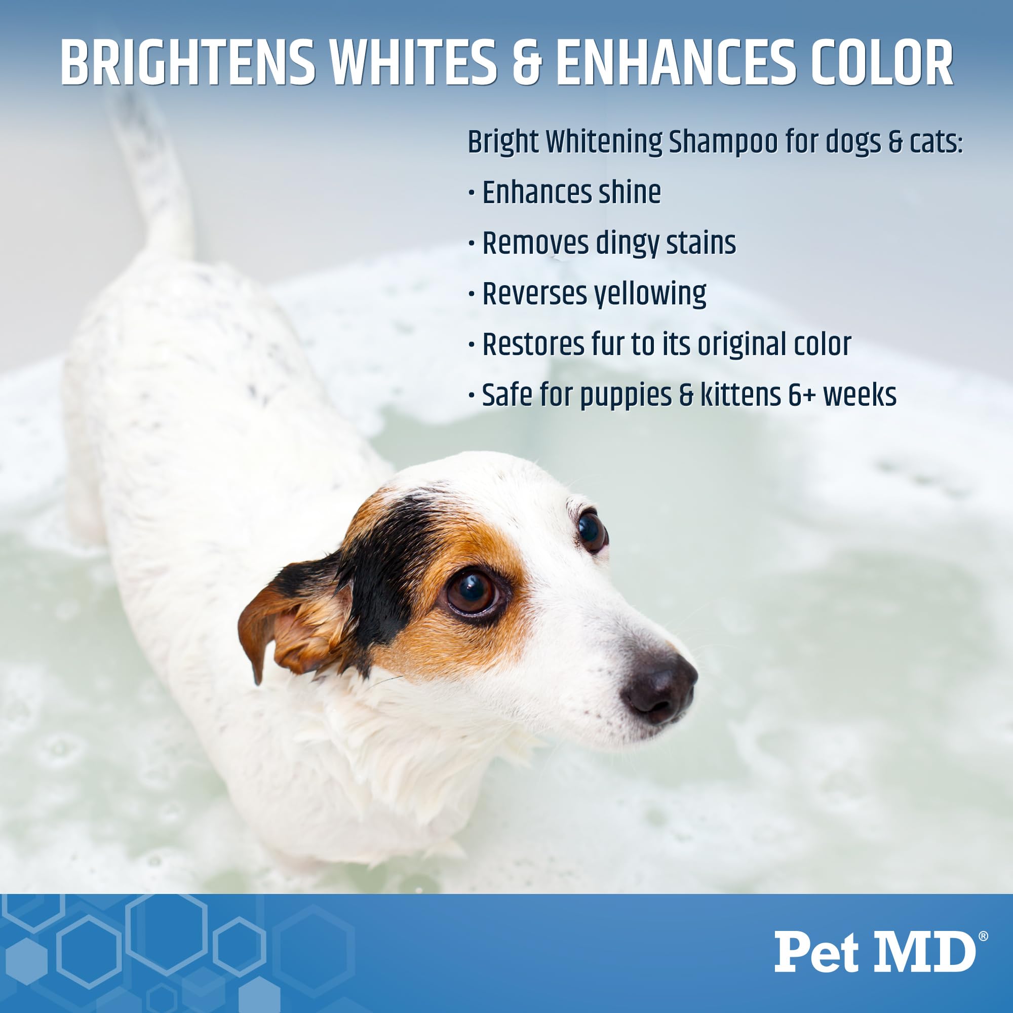 Pet MD Bright Whitening Shampoo for Dogs & Cats - Tearless Protein Enriched Shampoo with Oatmeal for White & Light Colored Coats - Cleans, Adds Shine & Prevents Matting - 12 oz - Perfect for Grooming, Show Prep & Daily Baths