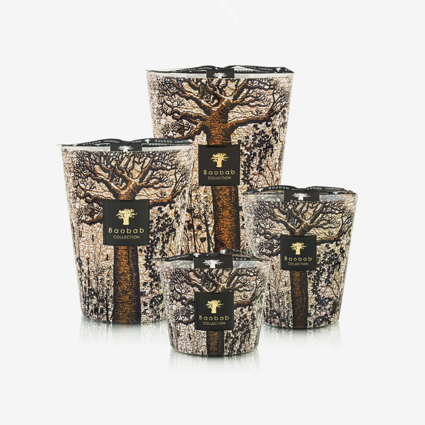 Baobab Collection Sacred Trees Morondo Scented Candle - Luxury Home Fragrance for Relaxation & Meditation | Perfect for Bedroom, Bathroom & Living Room Decor