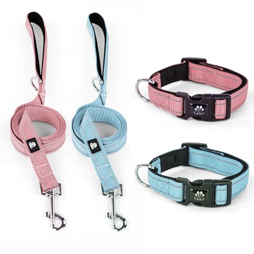 Blue&Pink(Collar+Leash)