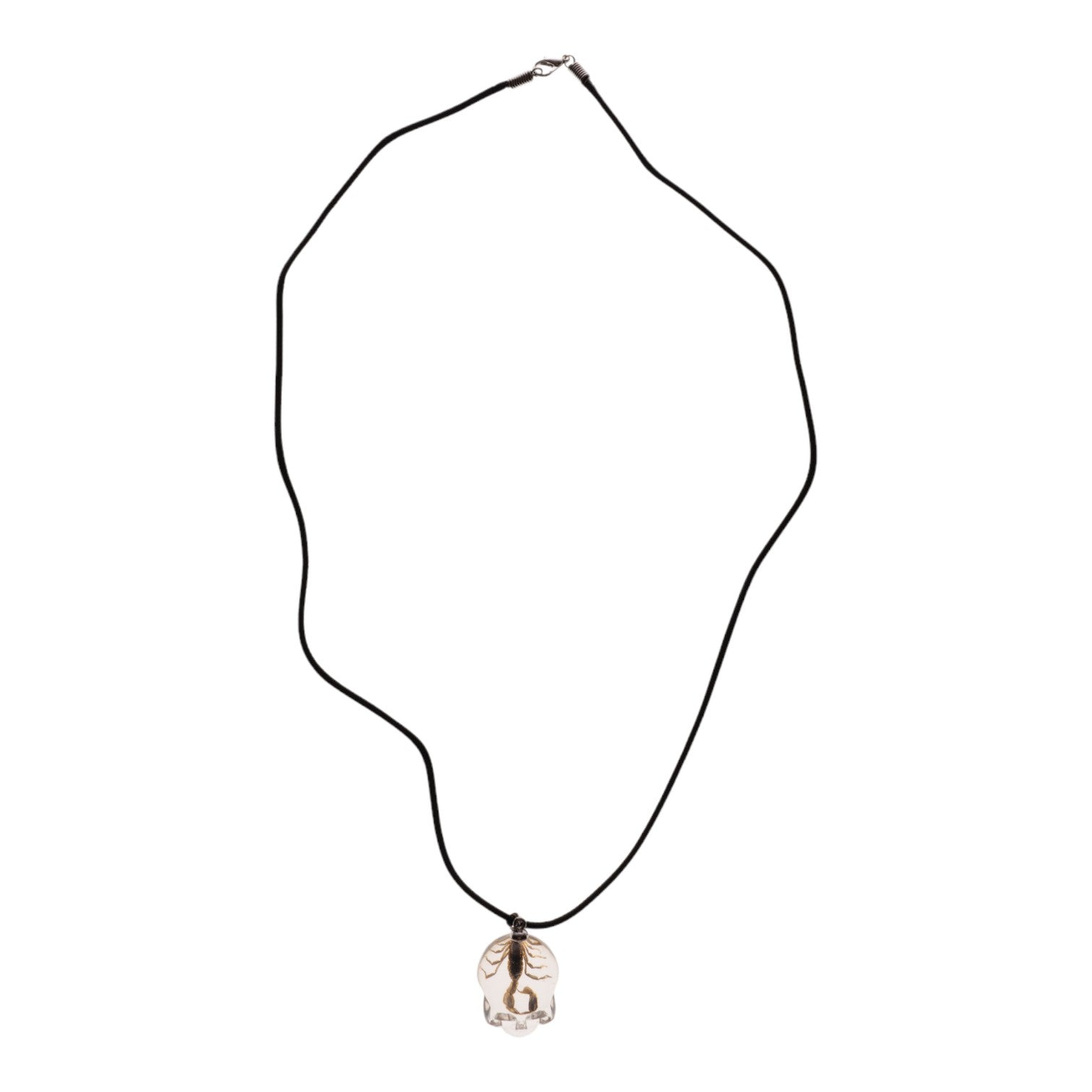 Real Golden Scorpion in Acrylic Skull Necklace - Unique Gothic Jewelry for Men & Women - Perfect for Halloween, Cosplay, and Alternative Fashion