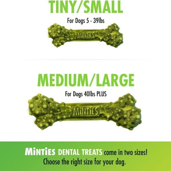 Minties Medium/Large Dental Chew Bones for Dogs - Natural Teeth Cleaning Treats for Fresh Breath & Tartar Control - Perfect for Daily Oral Care & Playtime