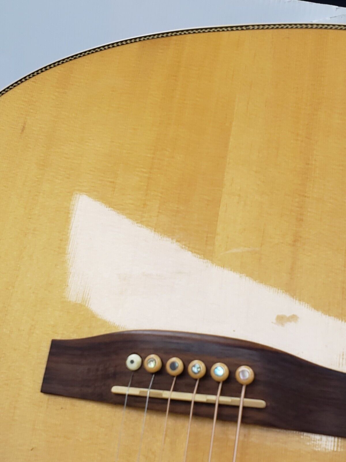 Seagull 22601 Acoustic Guitar - Premium Handcrafted Solid Wood Guitar for Beginners & Professionals - Perfect for Home, Studio & Live Performances