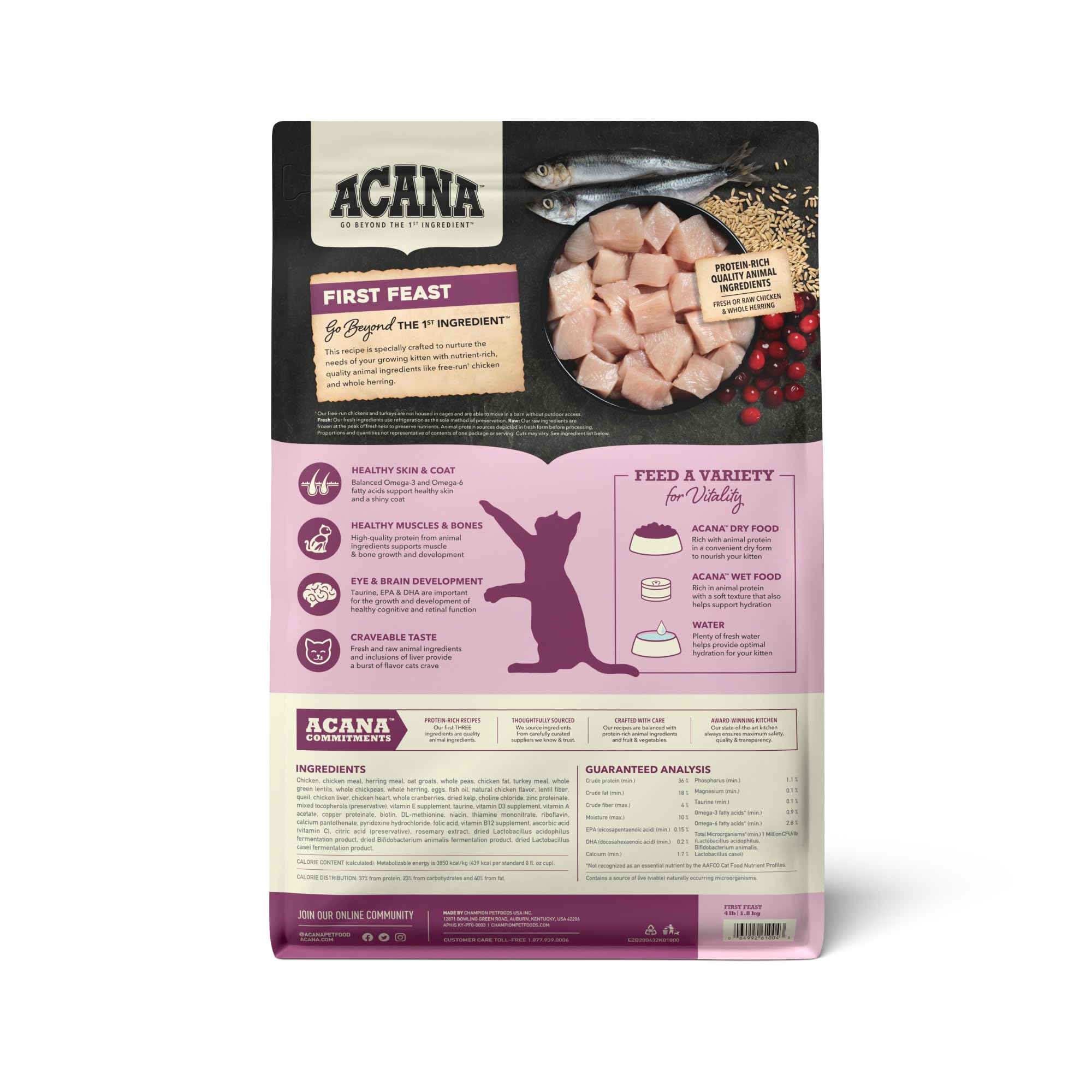 Premium ACANA First Feast Dry Cat Food for Kittens - High Protein with Free-Run Chicken & Whole Herring - 4lb Bag - Ideal for Growing Kittens & Picky Eaters