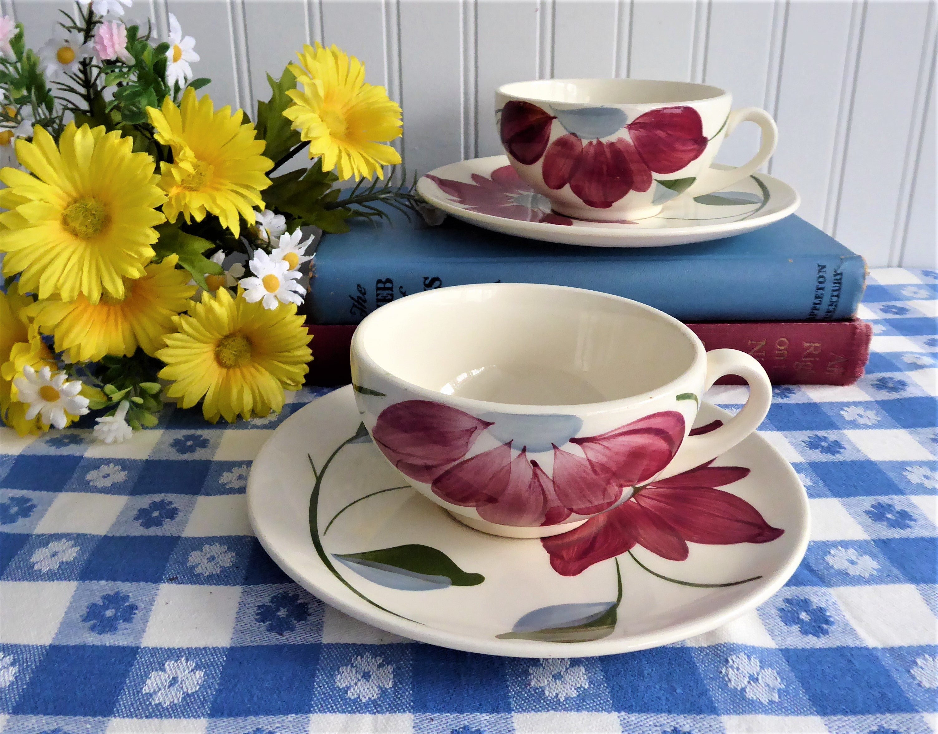 Vintage Blue Ridge Poinsettia Teacup and Saucer Set - 1940s Colonial Style Holiday China for Christmas Tea Parties & Collectors