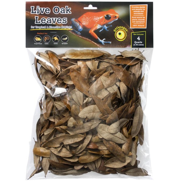 Natural Live Oak Leaf Litter for Terrariums, Vivariums & Reptile Enclosures - Organic Substrate for Bioactive Setups, Amphibians & Insects Habitat
