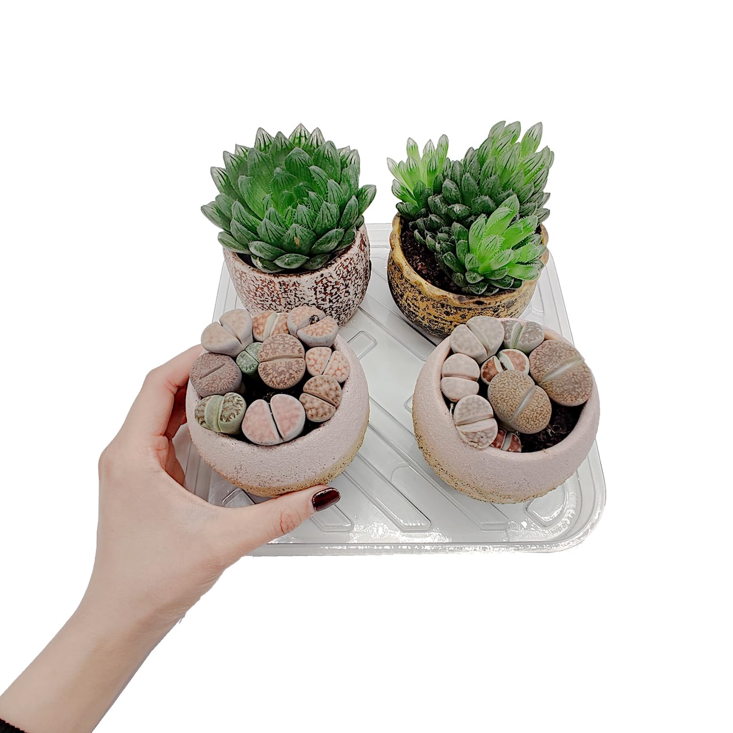 5 Pack 10 Inch Square Clear Plastic Plant Saucers - Heavy Duty Drip Trays for Indoor/Outdoor Potted Plants - Perfect Water Collection Trays for Home Garden, Balcony, and Greenhouse Use