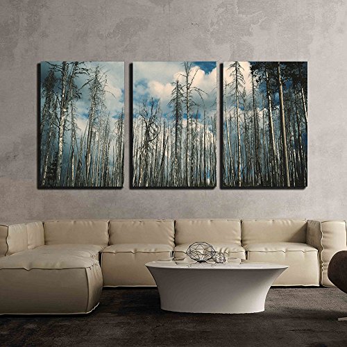 Artwork - 20