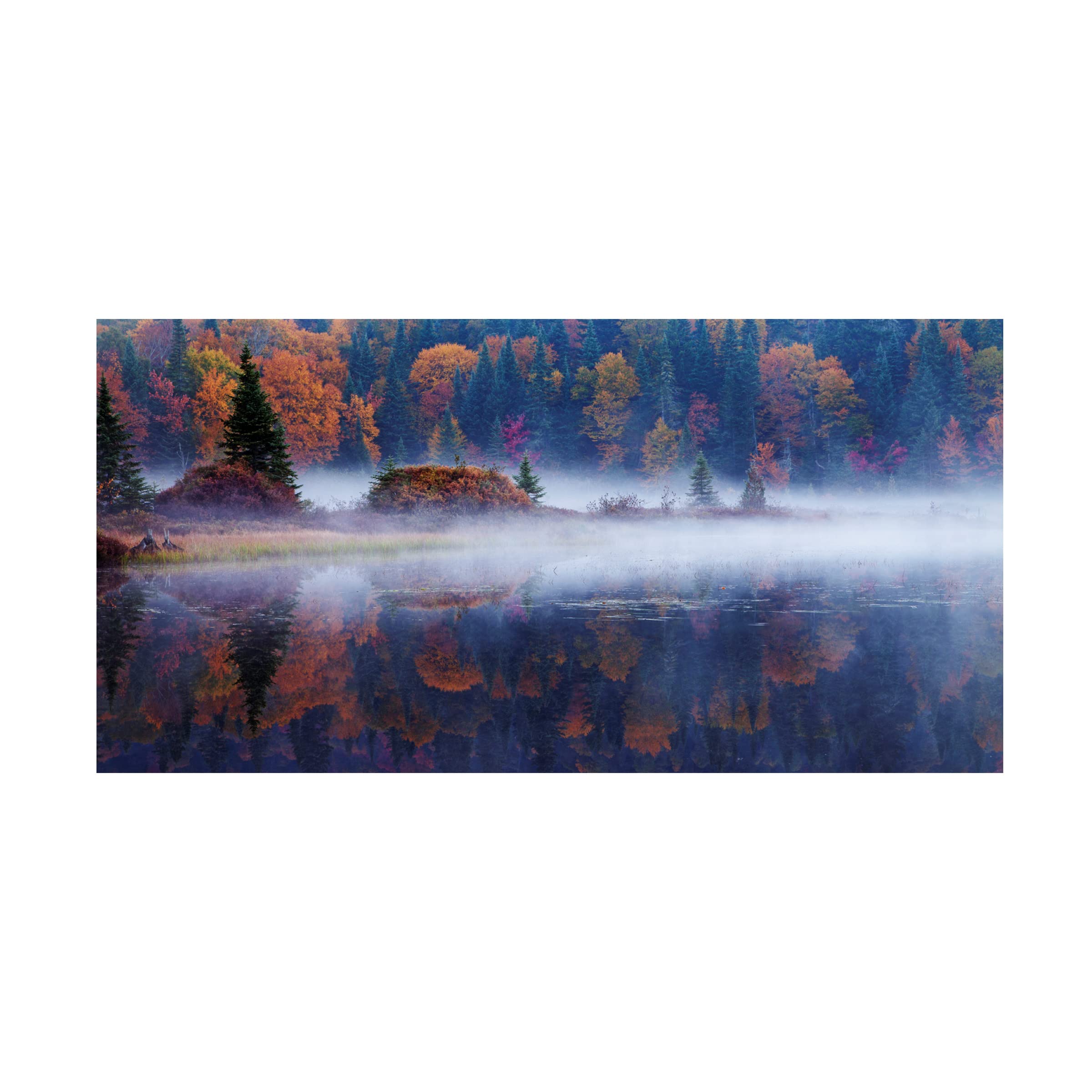 Trademark Fine Art 'Laurentian Forest' Canvas Wall Art by Mircea Costina - Stunning Landscape Painting for Living Room, Bedroom & Office Decor
