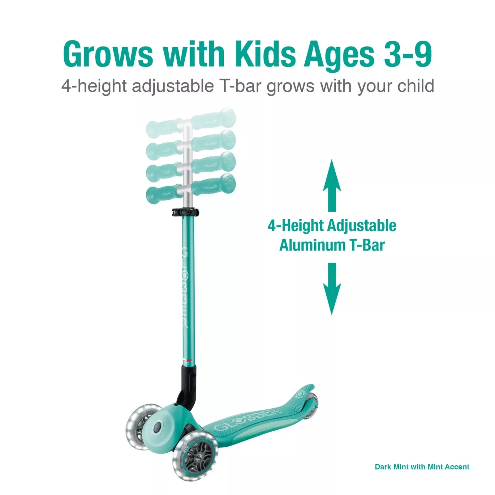 Primo Foldable Plus with LED Lights - Dark Mint / Mint - Perfect for Camping, Travel & Outdoor Adventures
