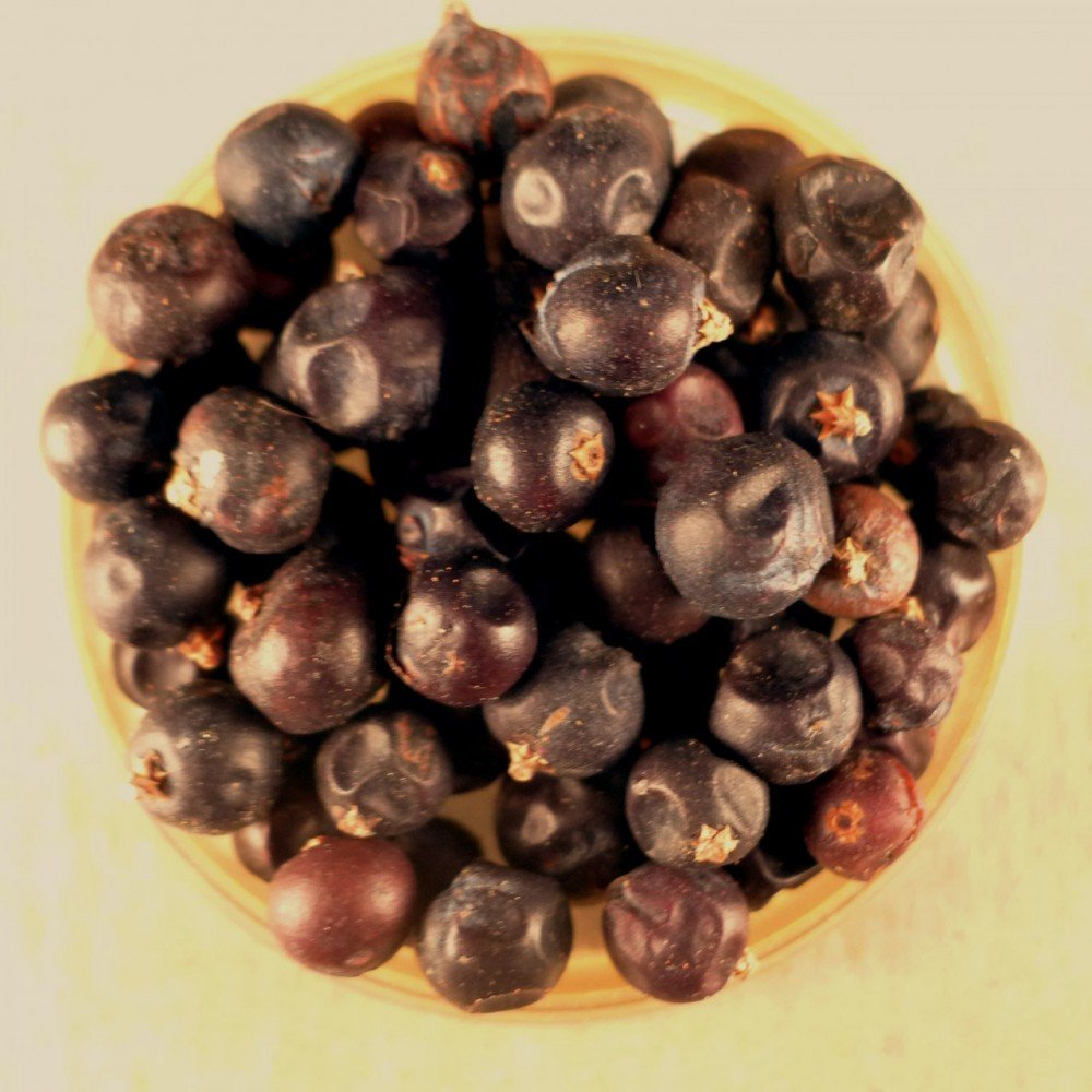 Organic Juniper Berries - 25 lbs Bulk | Premium Quality for Gin Making, Cooking & Herbal Remedies | Perfect for Home Brewing, Spice Blends & Natural Healing