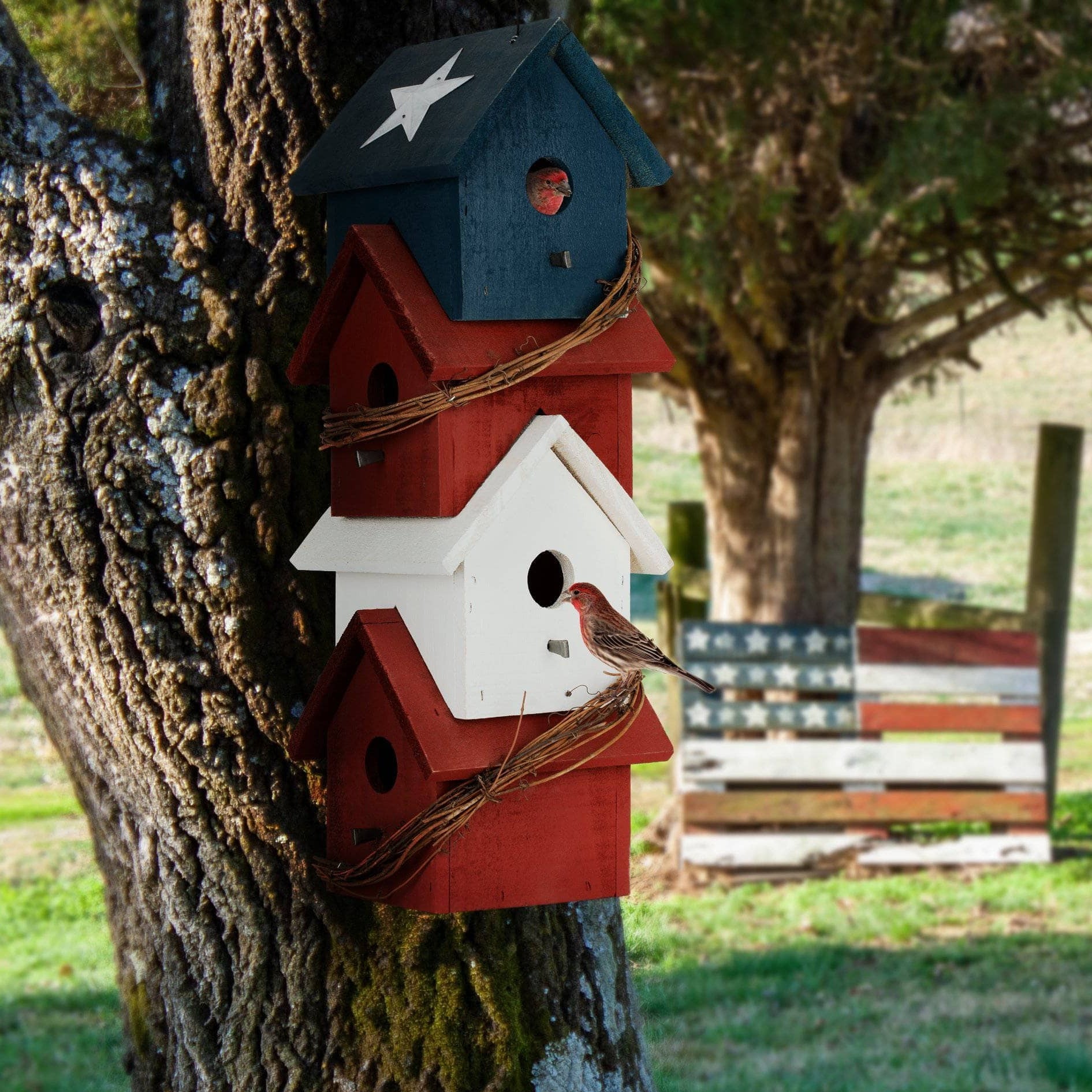 Piedmont Patriotic Birdhouse - Handcrafted Wooden Birdhouse with American Flag Design - Perfect for Garden, Backyard, and Outdoor Decor