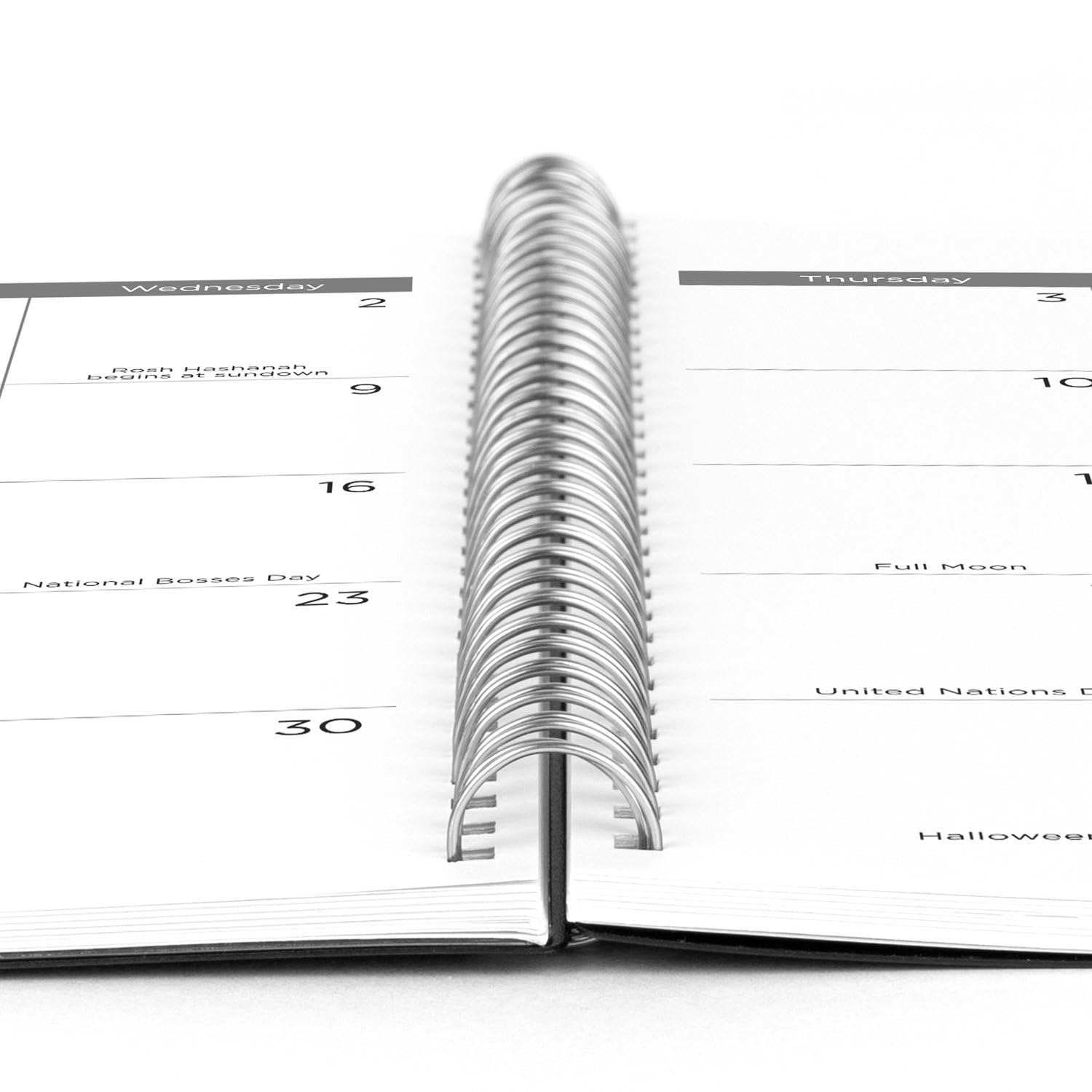Mead 2025 Planner - Weekly & Monthly 15-Month Academic Calendar, 8.5