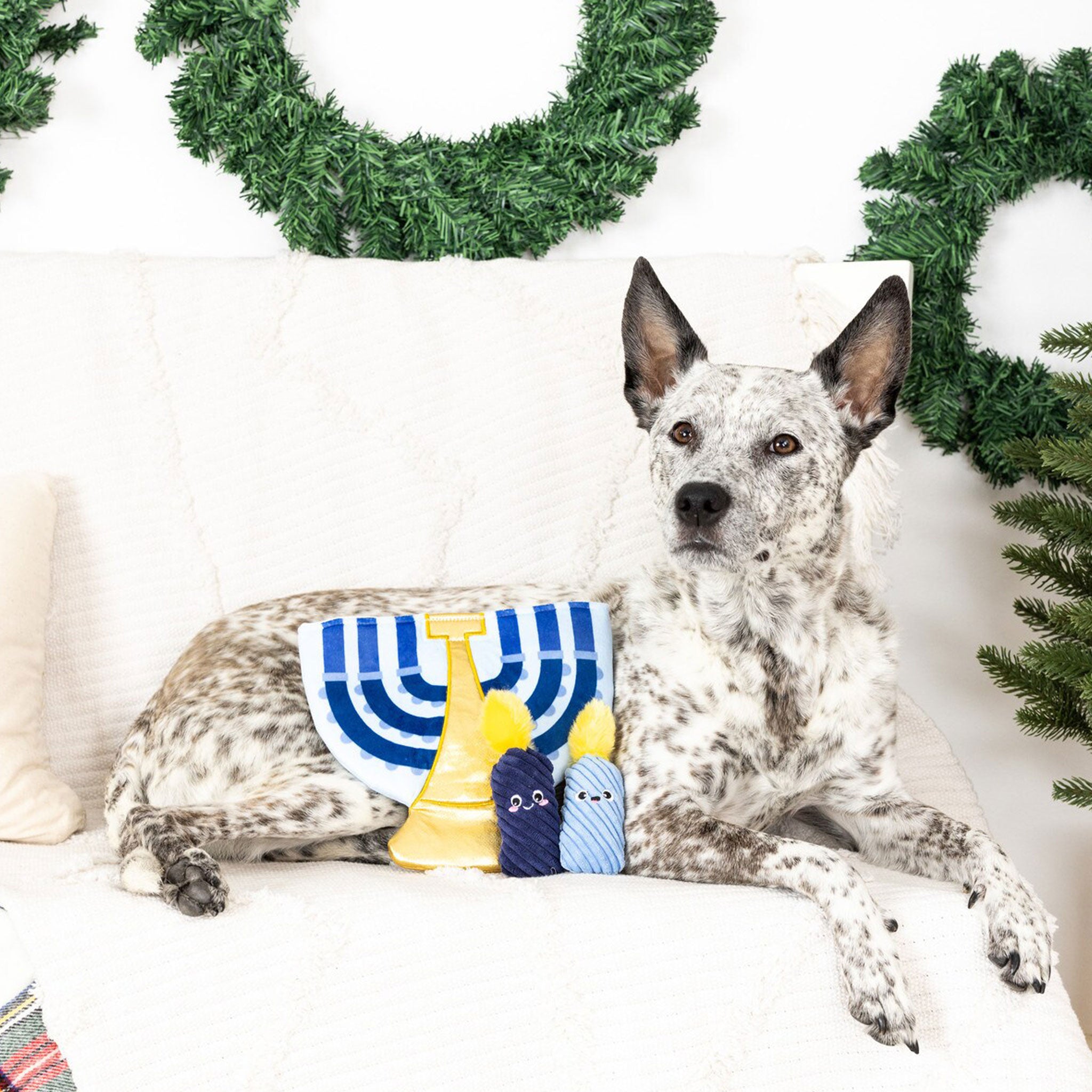 Blue Fringe Hanukkah Dog Toy - Chew-Resistant Pet Toy for Small & Medium Dogs - Perfect for Hanukkah Gifts & Playtime Fun