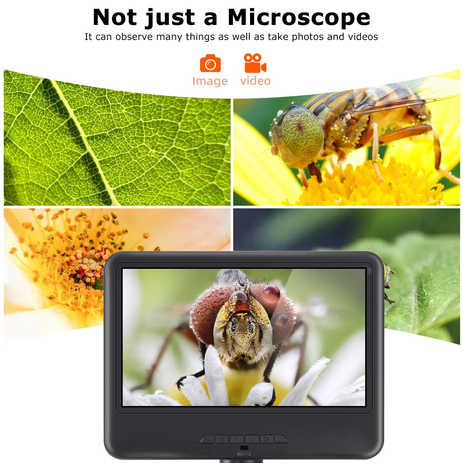Koolertron 10.1