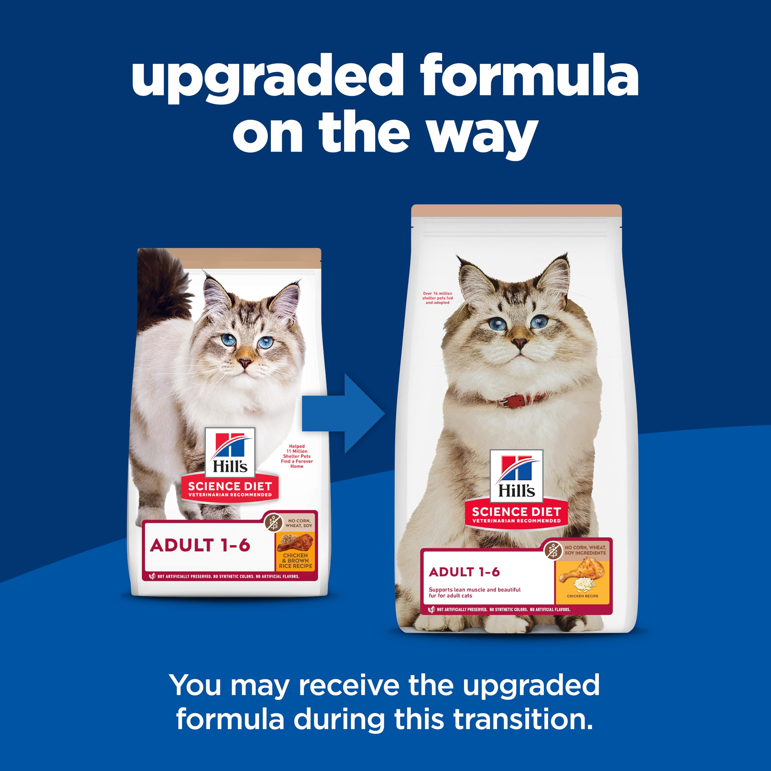 Hill's Science Diet Adult Dry Cat Food - Premium Nutrition for Cats 1-6 Years, Chicken & Brown Rice Recipe, No Corn Wheat or Soy, 7lb Bag - Ideal for Indoor Cats & Healthy Weight Maintenance