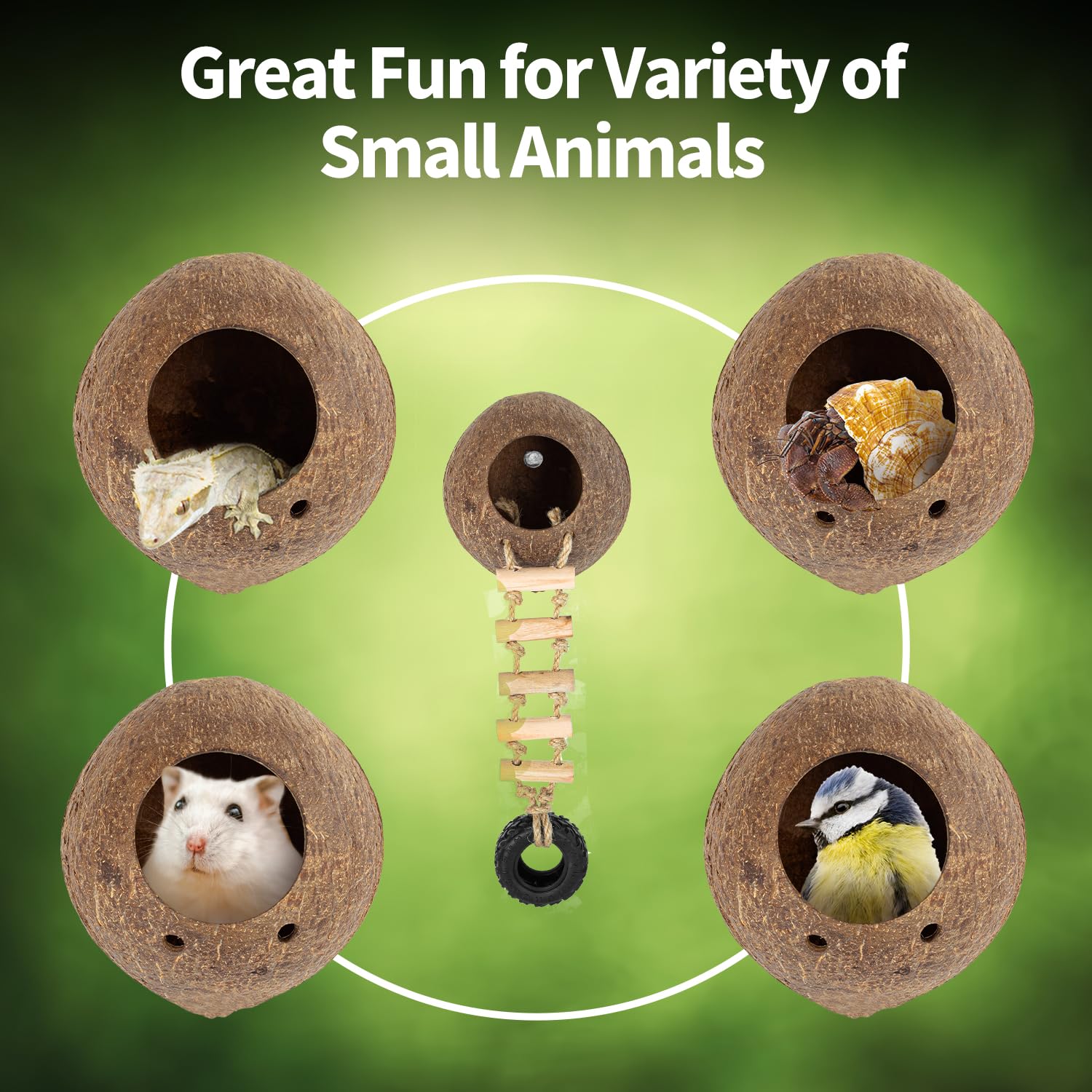 REPTIZOO Hermit Crab Coconut Shell Hideout - Natural Reptile Hide Cave with Ladder for Leopard Gecko, Crested Gecko, Lizards | Terrarium Decor with Suction Cup | Ideal for Climbing, Resting & Habitat Enrichment