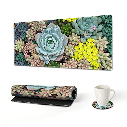 Succulents