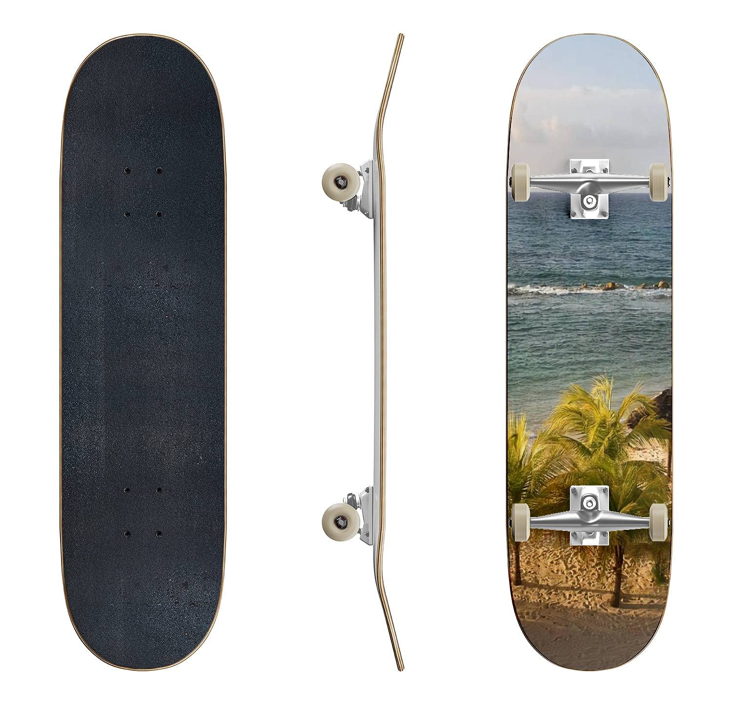 Best Sarasota Classic Concave Skateboard for Beginners & Pros - Durable Longboard for Extreme Sports & Street Riding | Perfect Teen Gift & Cool Skateboarding Gear for Commuting, Tricks & Park Riding