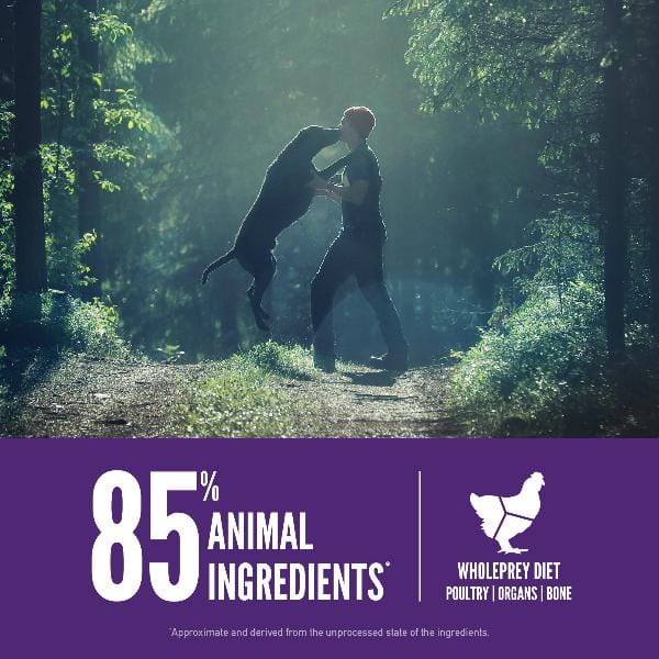 Orijen Premium Adult Large Breed Dry Dog Food - High Protein Grain-Free Recipe for Active Dogs - Ideal for Large Breeds Like German Shepherds & Labradors