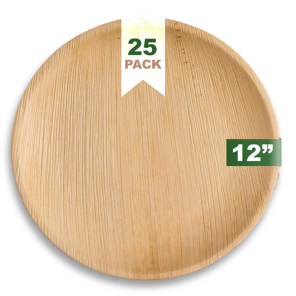 Ecozoi 12