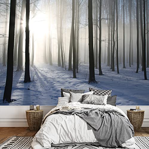Snow in the Forest