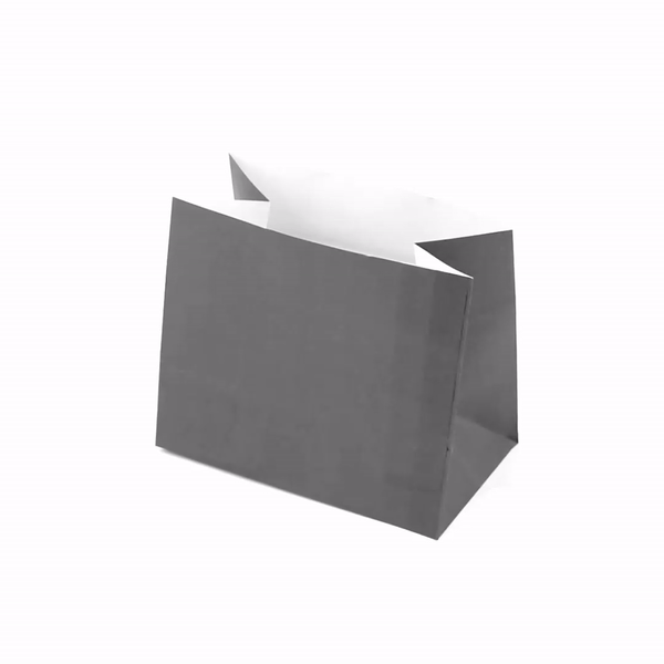 Premium Gray Paper Snack Bags - 4.25