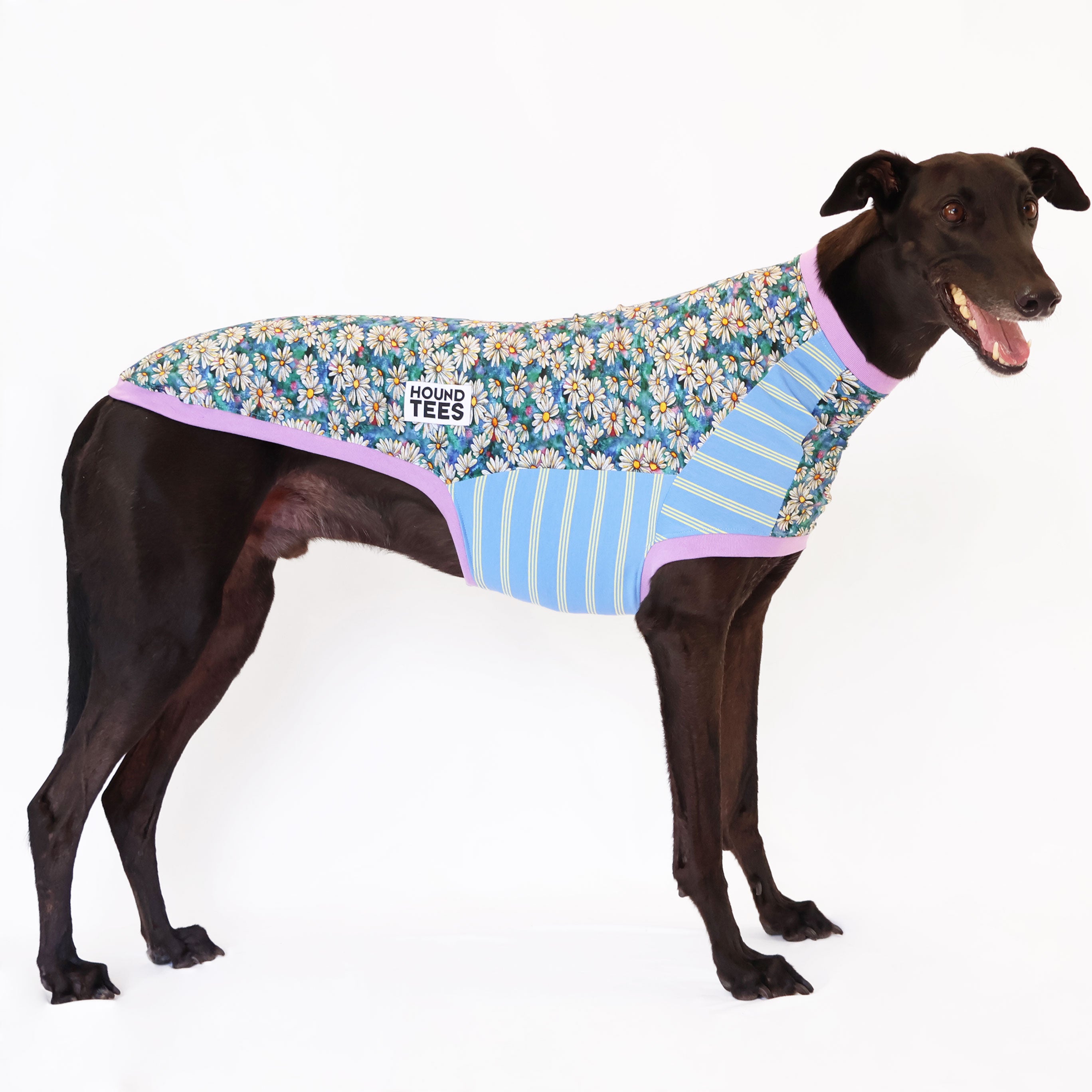 Whoopsie Daisy Greyhound Sleeveless Hound Tee - Comfortable Dog Lover T-Shirt for Women - Perfect for Casual Wear, Dog Walks & Pet Owner Gifts