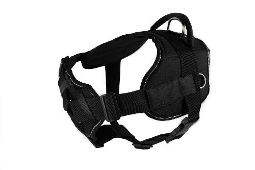 Dean & Tyler DT Fun Therapy Dog Harness with Padded Chest - Adjustable Medium (28-34 Inch Girth) Reflective Black Vest for Service Dogs, Emotional Support & Training - Perfect for Walks, Public Access & Outdoor Adventures