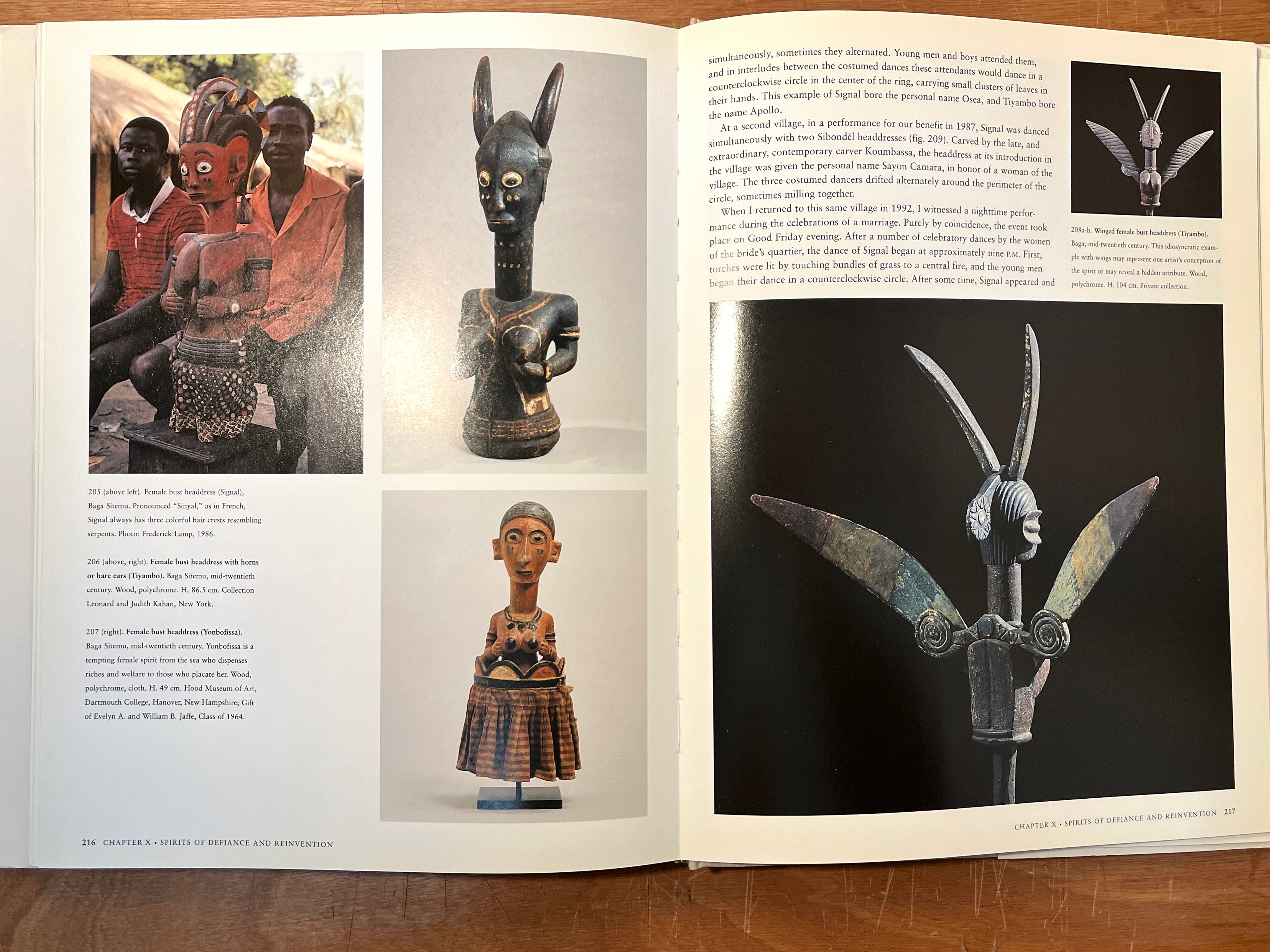 Art of the Baga: Drama of Cultural Reinvention - Prestel 1996 Hardcover Book with Dust Jacket | African Tribal Art Collection, Home Decor & Cultural Studies