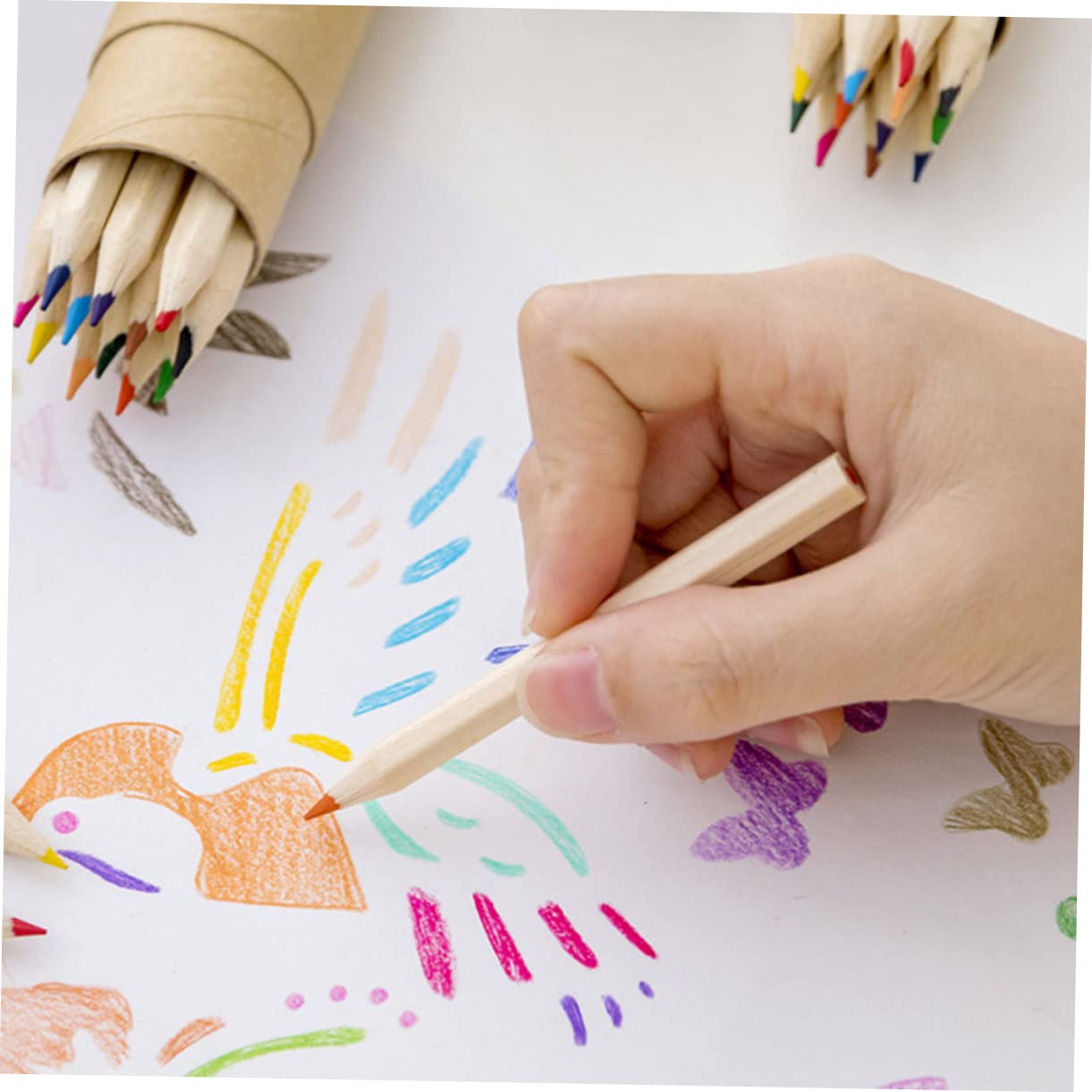 Anneome 24-Piece Colored Pencils Set - Professional Art Drawing & Coloring Pencils for Kids & Adults - Vibrant Wooden Pencils for Sketching, Shading, Doodling & School Projects