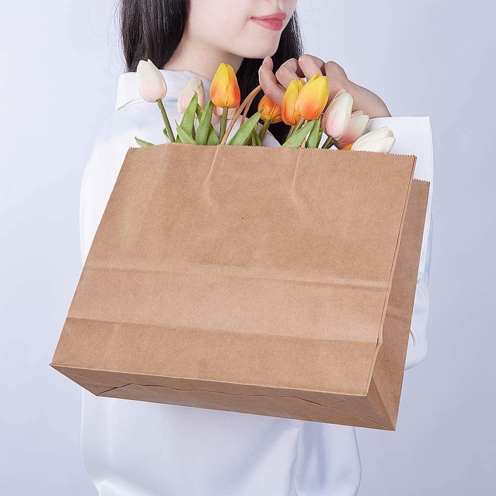 Eco-Friendly Brown Paper Gift Bags 25pcs - Large 16x12x5 Shopping Bags for Retail & Party Favors