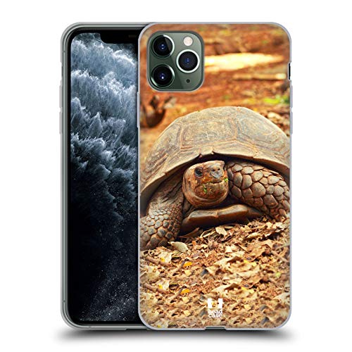 Crawling Tortoise