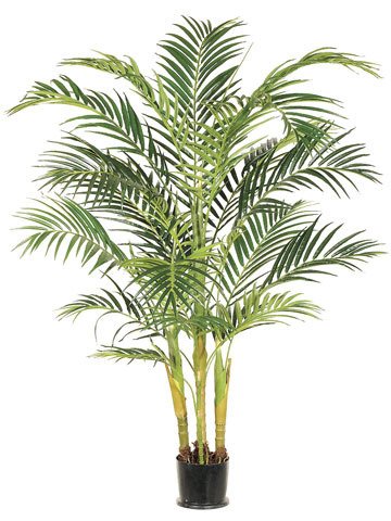 6' Areca Palm Tree in Pot - Pack of 2 Indoor Plants for Home & Office Decor - Perfect for Living Room, Bedroom, or Office Space