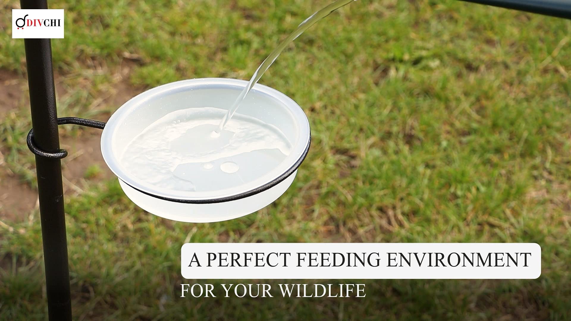 DIVCHI Hanging Bird Feeder with 2 Dishes - Garden Decor for Small Birds