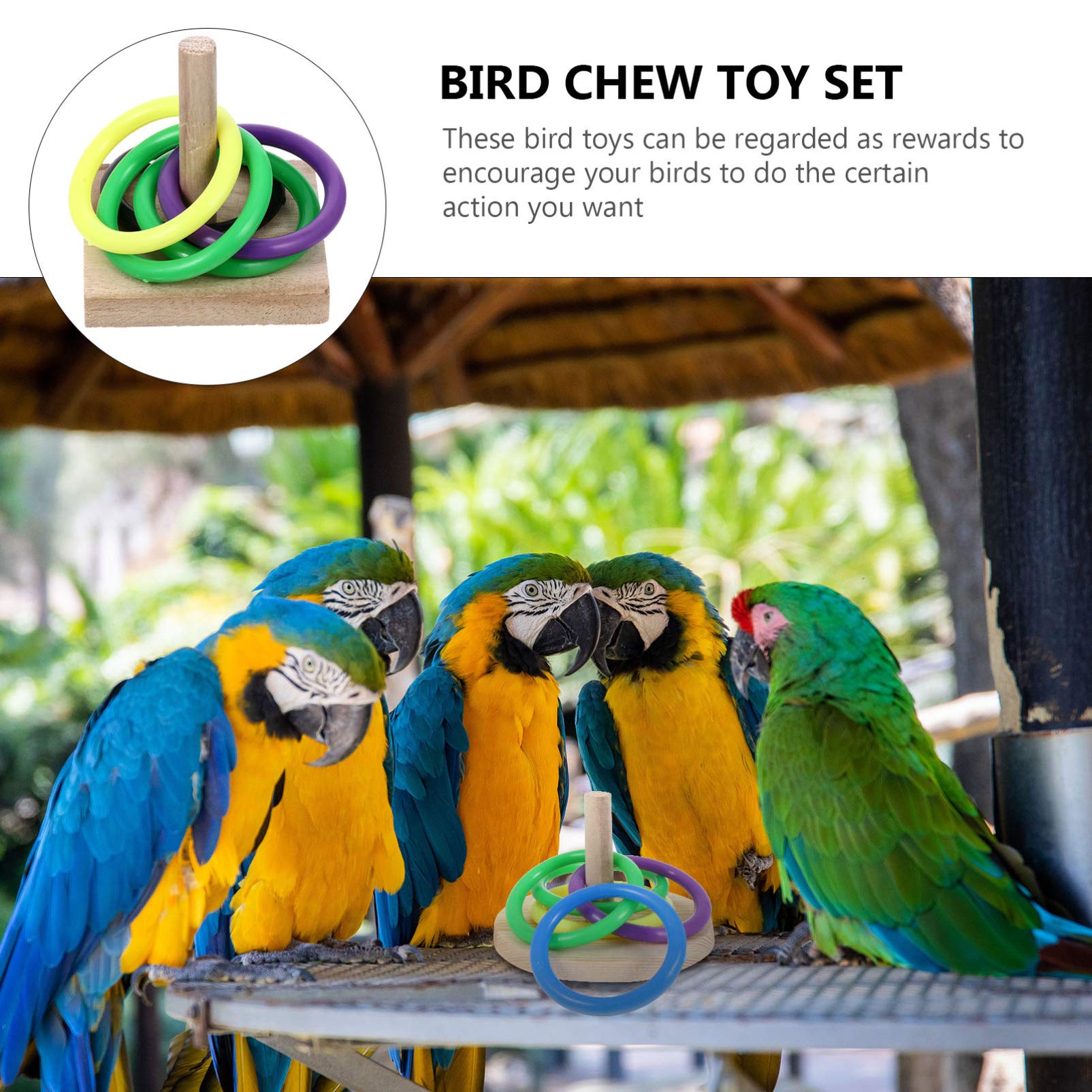 TEHAUX 3 Sets Parrot Training Toys - Interactive Stacking Rings & Foraging Puzzle Toys for Birds, Cockatiels, Parakeets - Mental Stimulation & Exercise Toys for Small to Medium Pet Birds - Perfect for Cage Play, Training Sessions & Boredom Relief - Great for Bonding Time & Bird Enrichment Activities
