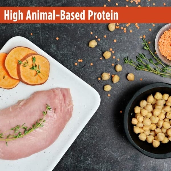 Nulo Freestyle Adult Dry Dog Food - Turkey & Sweet Potato Recipe | High Protein Grain-Free Kibble for Active Dogs | Perfect for Daily Meals & Training Rewards