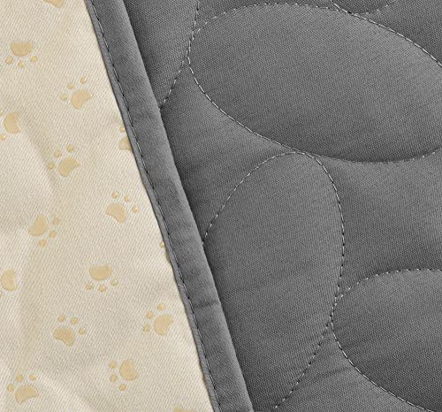 Lightgrey