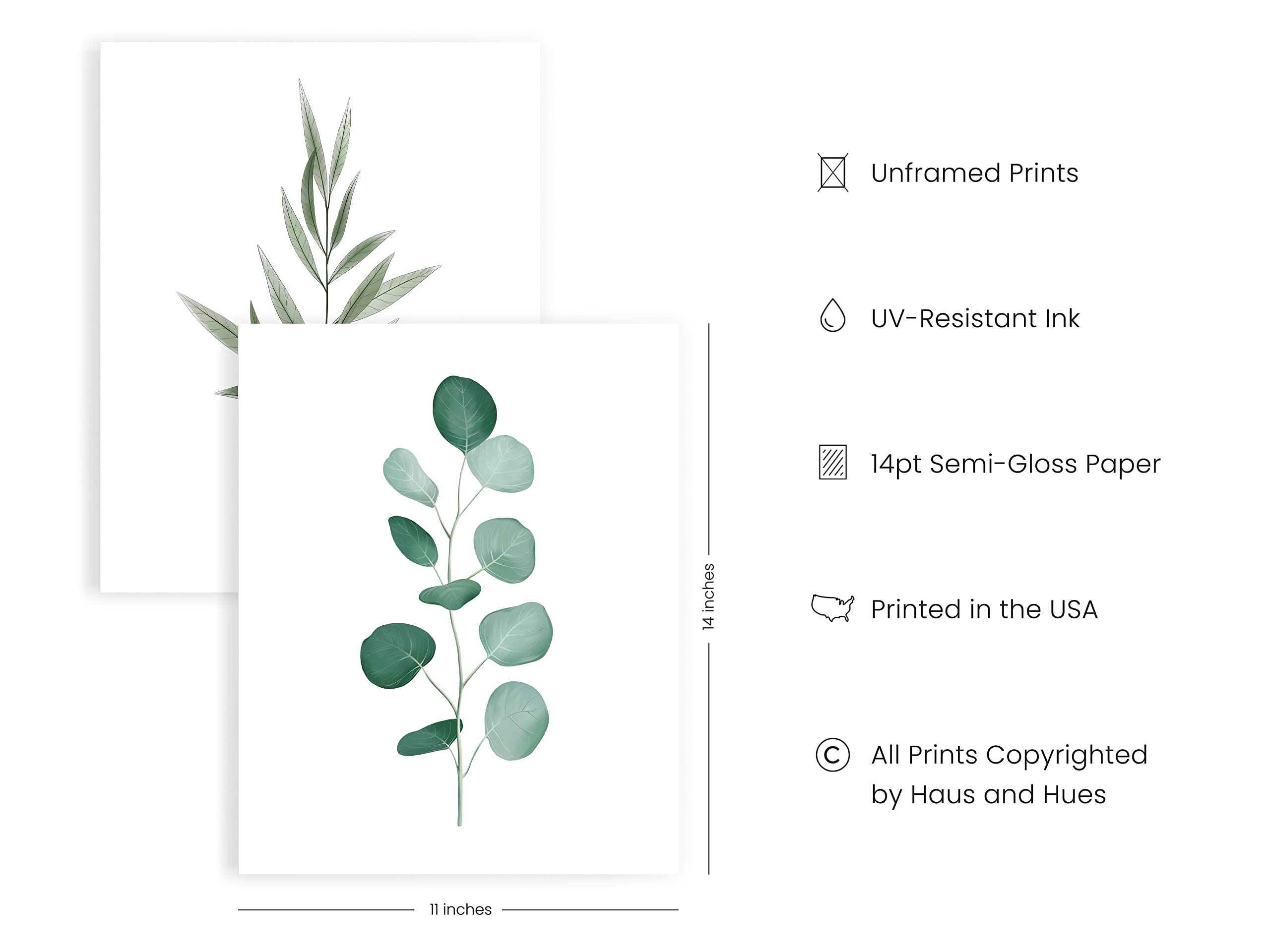 Haus and Hues Botanical Wall Art Prints - 11x14 Inch Green Leaf Paintings, Plant Pictures Collection, Unframed Nature Decor for Living Room, Bedroom & Office
