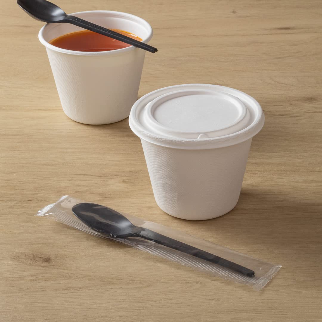 Eco-Friendly 6.5 Inch Compostable Spoons - 250 Individually Wrapped Plant-Based Cutlery Set | BPI-Certified CPLA Disposable Utensils for Hot & Cold Foods | Perfect for Restaurants, Catering, Picnics & Outdoor Events