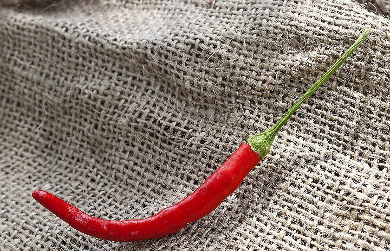 Premium Chile De Arbol Tree Chili & Birds Beak Pepper Seeds - 100pcs/Packet - Hot Peppers for Cooking, Salsa, and Home Gardening