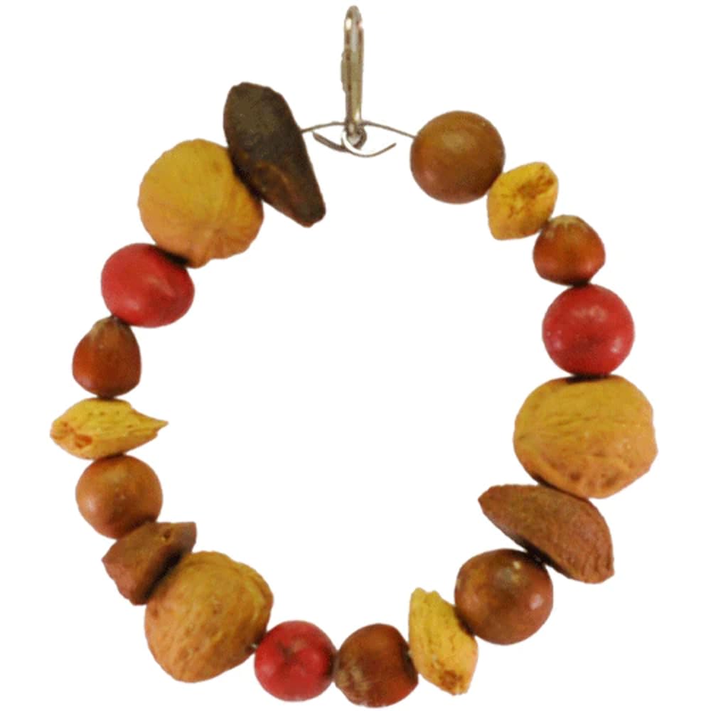 A&E CAGE COMPANY 001444 Happy Beaks Mixed Nut Ring Toy - Colorful Bird Chew Toy for Parrots & Cockatiels - Perfect for Foraging Fun & Beak Exercise